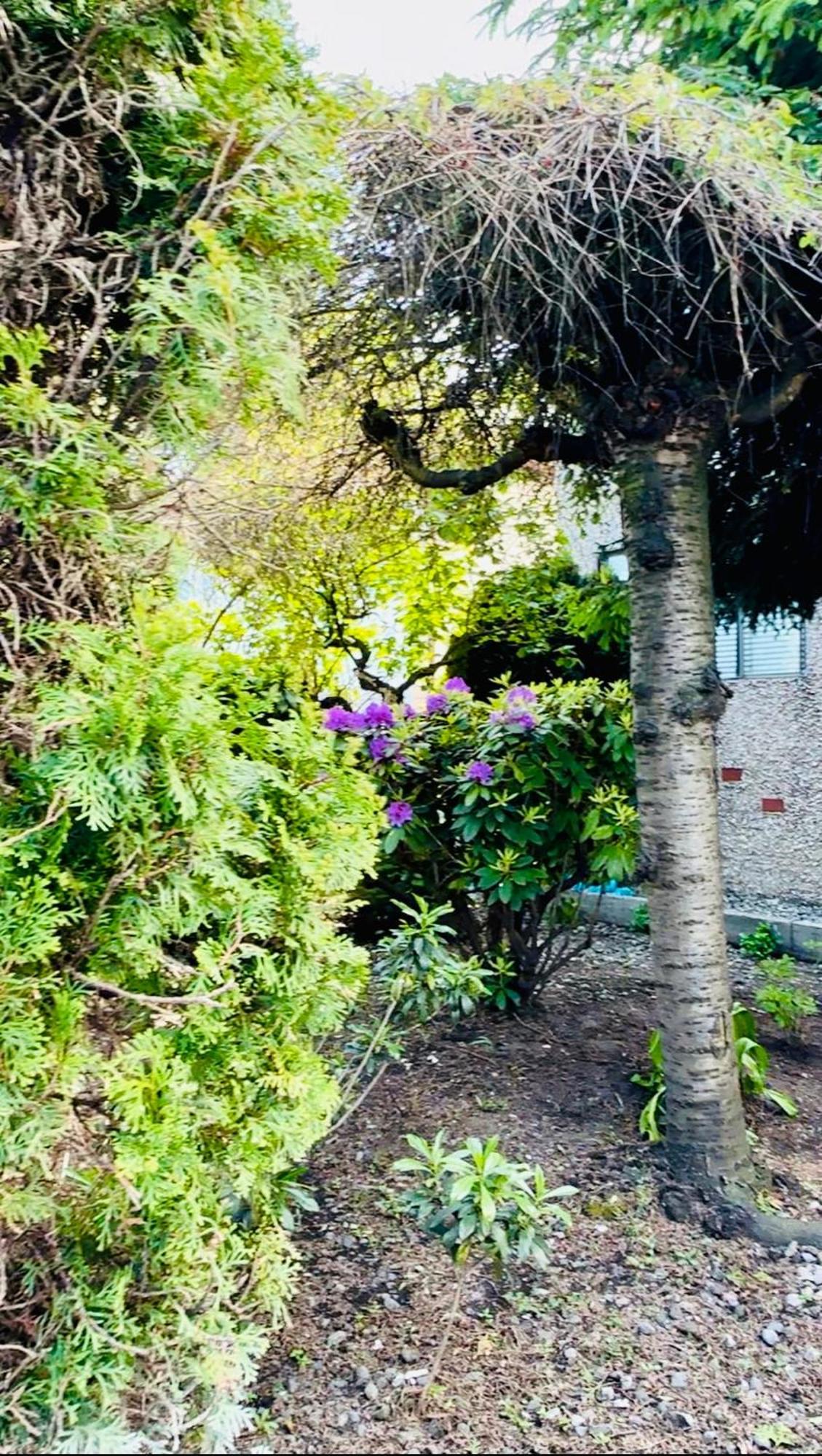 Petite Main Street Haven Διαμέρισμα Βανκούβερ Εξωτερικό φωτογραφία